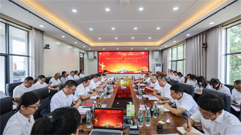 奋力书写改革发展新答卷丨湖北瑞洪公司领学全会精神 筑发展新篇