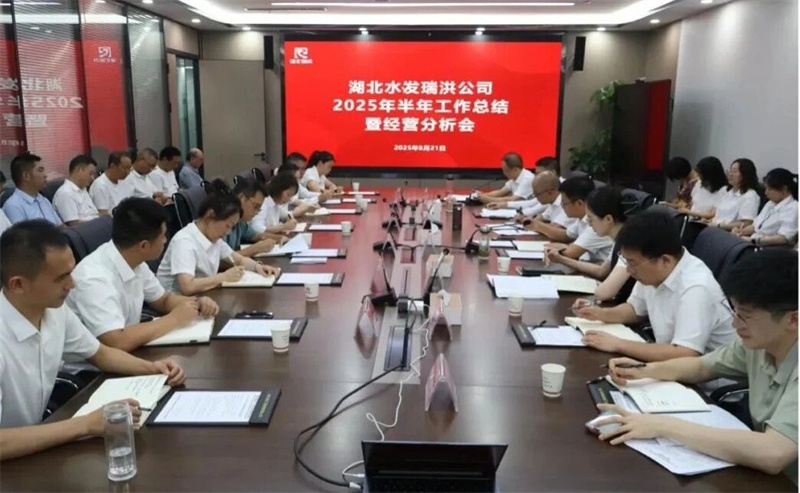 湖北水发瑞洪公司召开2025年半年工作总结暨经营分析会