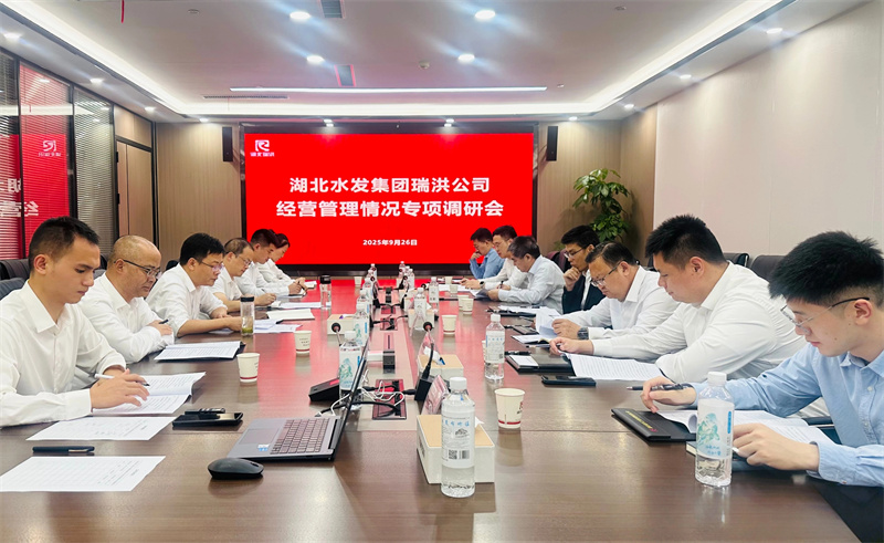 周俊一行赴湖北水发瑞洪公司调研指导工作