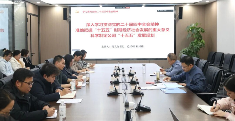 深入学习贯彻党的二十届四中全会精神  准确把握“十五五”时期经济社会发展的重大意义  科学制定公司“十五五”发展规划